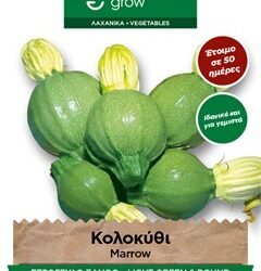 ΣΤΡΟΓΓΥΛΑ ΚΟΛΟΚΥΘΙΑ ΠΡΑΣΙΝΑ - ROUND SQUASH KG