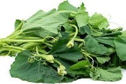 SQUASH LEAVES - ΦΥΛΛΑ ΚΟΛΟΚΥΘΑΣ PACK