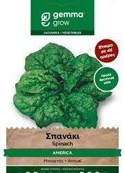 ΣΠΑΝΑΚΙ - SPINACH KG