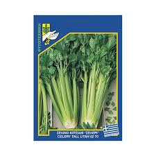 ΣΕΛΕΡΙ - SELERI ΠΑΚΕΤΟ