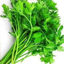 ΣΕΛΙΝΟ ΜΑΤΣΑΚΙ