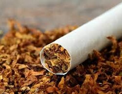 TOBACCO