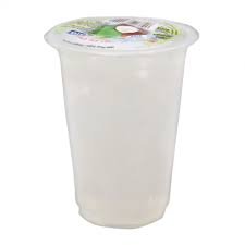 KARA NATA DE COCO VANILLA  220GR