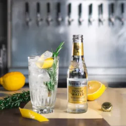 Fever-Tree Indian TOnic Water 200ML