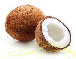FRESH COCONUT