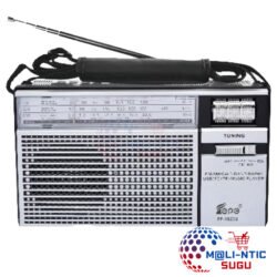 FEPE 3 BANDS RADIO WITH USB, SD. TF MUSIC PLAYER / FP-1823U