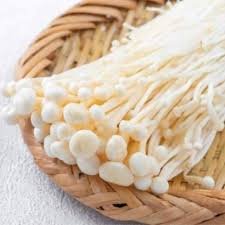 ENOKI MUSHROOM 100GR