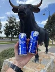 RED BULL BLUE 250ML