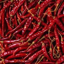 SAJEEB DRY CHILLI