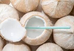FRESH YOUNG COCONUT