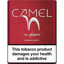 CAMEL BURGUNDY STICKS
