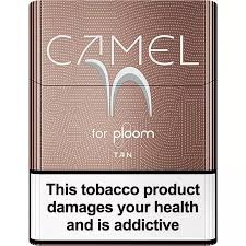 CAMEL TAN STICKS