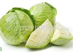 ΛΑΧΑΝΟ - CABBAGE KG