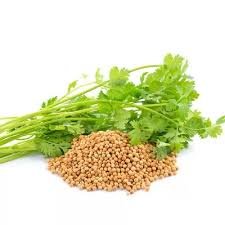 CORIANDER/ΚΟΛΙΑΝΔΡΟΣ ΠΑΚΕΤΑΚΙ