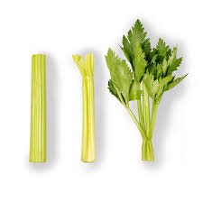 LUCAS CELERY