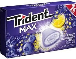 TRIDENT MAX FROST BLUEBERRY CITRUS 20GR