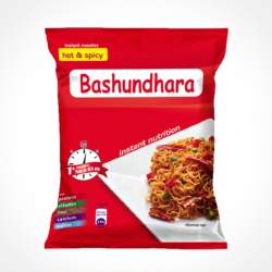 BASHUNDHARA NOODLES HOT & SPICY 248GR
