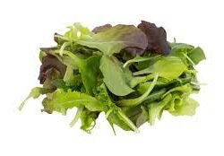 ΣΑΛΑΤΑ MESCLUN
