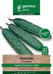 ΑΓΓΟΥΡΙ - CUCUMBER ΤΕΜΑΧΙΟ PER PIECE
