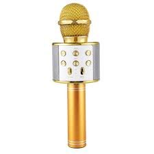 WIRELESS MICROPHONE WS-858