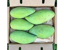 ΠΡΑΣΙΝΟ ΜΑΝΓΚΟ - GREEN MANGO KG