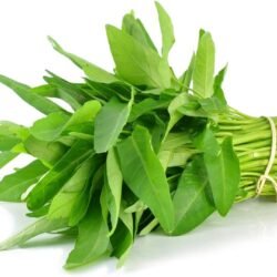 KANGKONG WATER SPINACH PACK