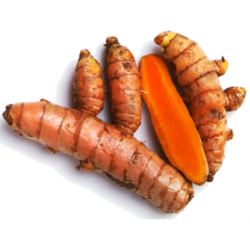 TUMERIC FRESH KG