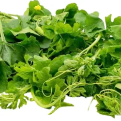 AMPALAYA LEAVES PACK