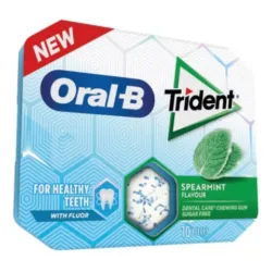 TRIDENT ORAL-B SPEARMINT 17GR