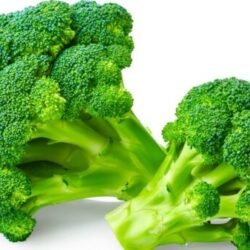 BROCCOLI KG