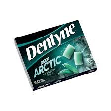 DENTYNE DEEP ARCTIC
