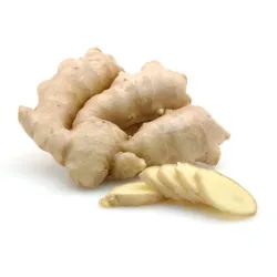 GINGER KG