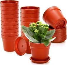 PLASTIC POT WITH FLOWER