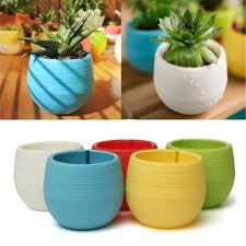 PLASTIC POT WITH FLOWER