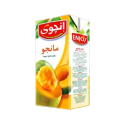 ENJOY MANGO NECTAR 1L