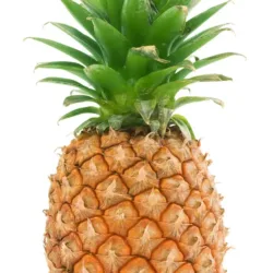 ΑΝΑΝΑΣ - PINEAPPLE KILA