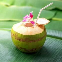 DRINKING COCONUT FRESH