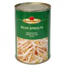 ROYAL ORIENT BEAN SPROUTS 425G