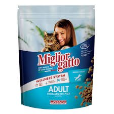 MIGLIOR GATTO WITH FISH