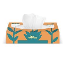 ENDLESS SOF TISSUES 90 SHEETS