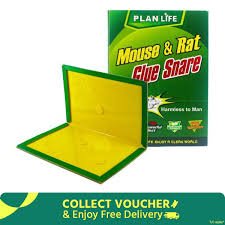 GLUE TRAP MOUSE AND RAT