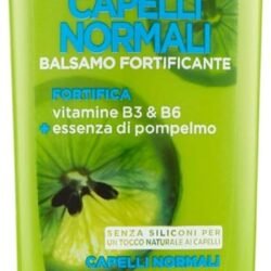 GARNIER FRUCTIS NORMAL 200ML
