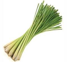 LEMON GRASS