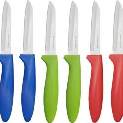 FRUIT KNIFE 6PCS