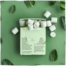 GUM/ΤΣΙΧΛΑ 1PCS