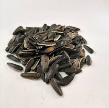 RIGAS ΗΛΙΟΣΠΟΡΟΣ ΨΗΜΕΝΟΣ ΑΝΑΛΑΤΟΣ 90GR