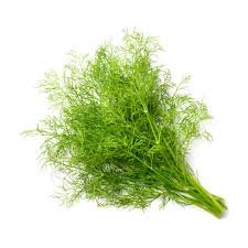 DILL/ΑΝΗΘΟΣ ΠΑΚΕΤΟ